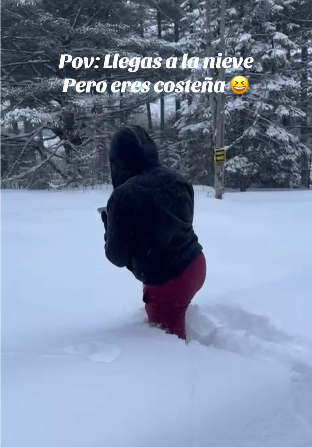 @Diana Bernal