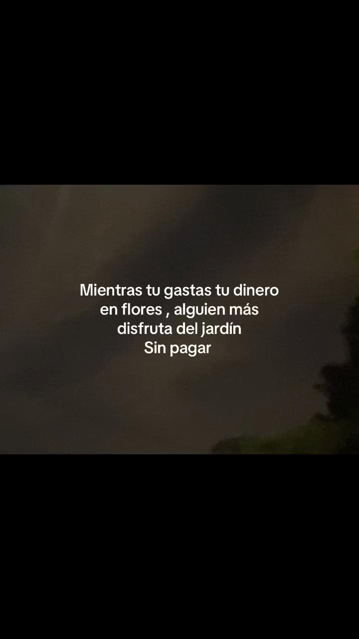 @Alejandro🥷