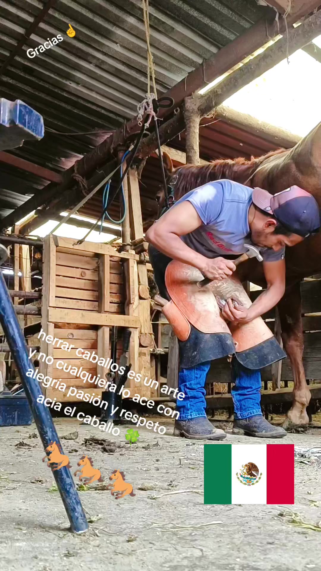 @Carlos Guzm&aacute;n 🔨🐎