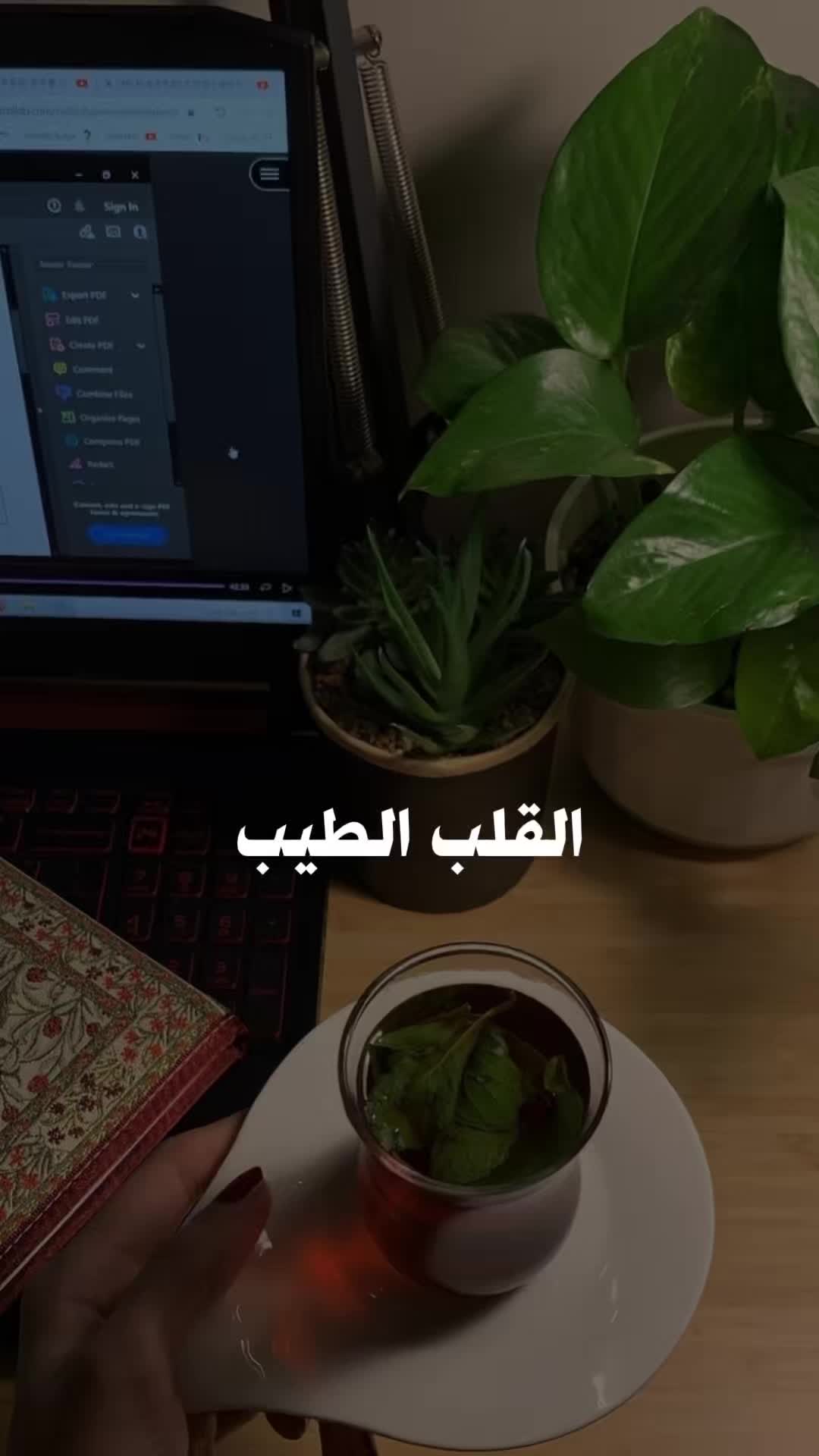 @رشا 🤍