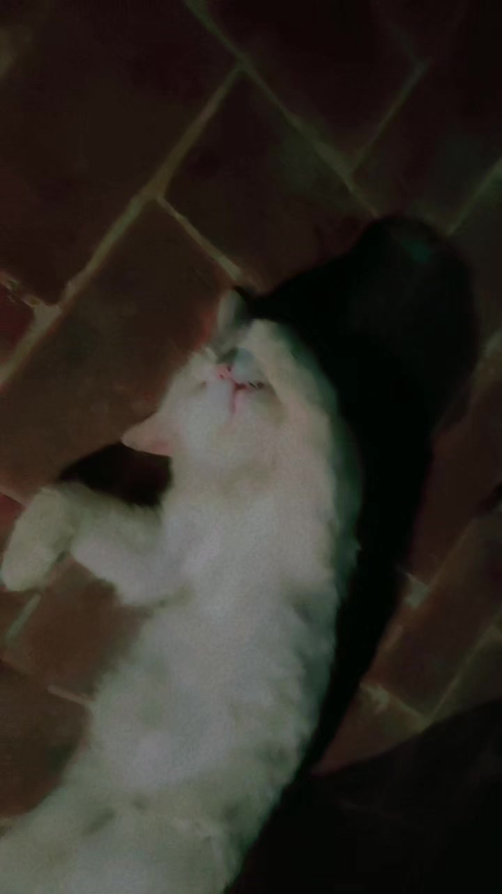 @ʟᴜʙɴᴀ ᴡᴀsᴇᴇᴍ☠️