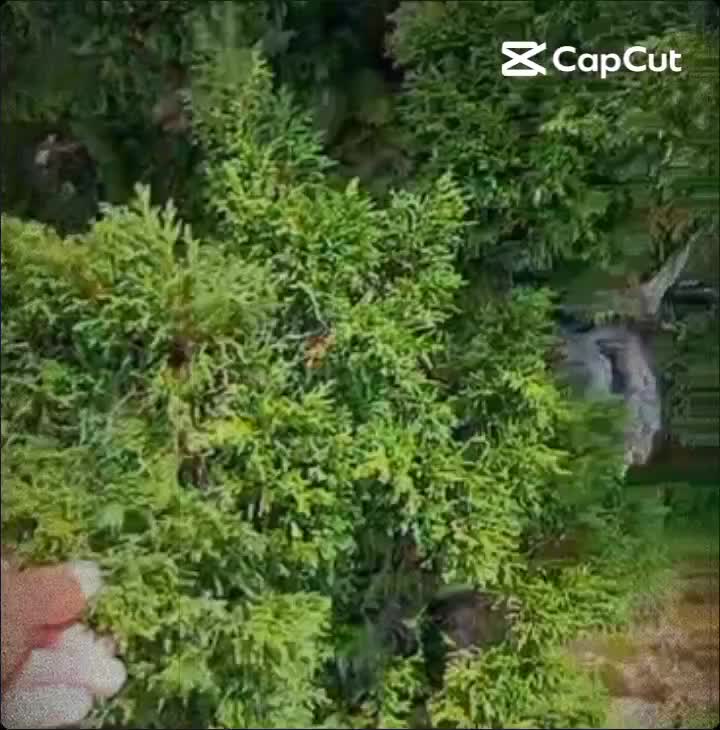@👉SANG TASHI🤔