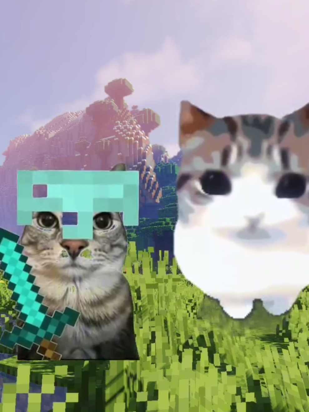 @️