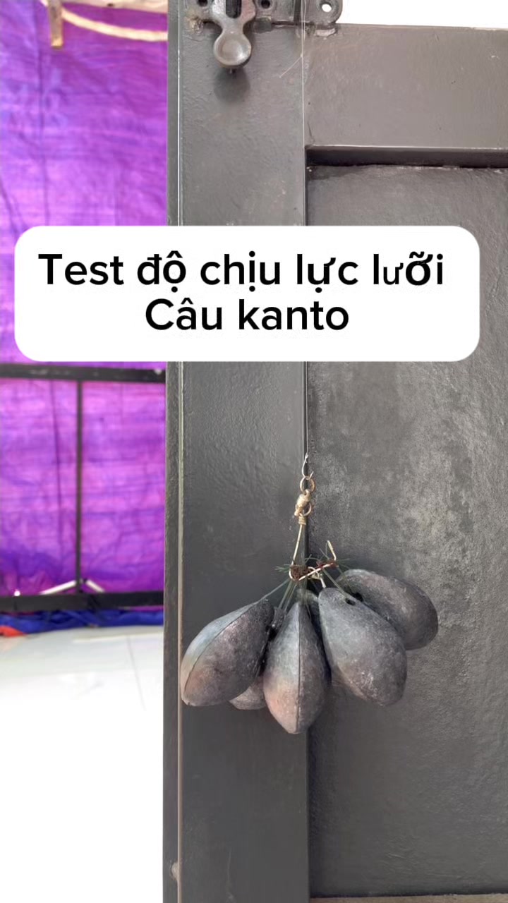 @c&acirc;u c&aacute; Nha Trang