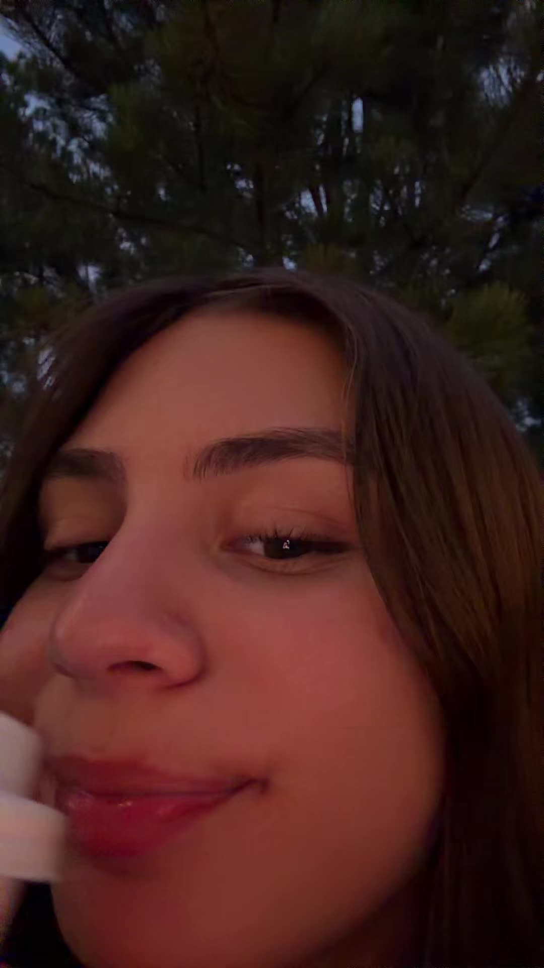 @theminicaryn