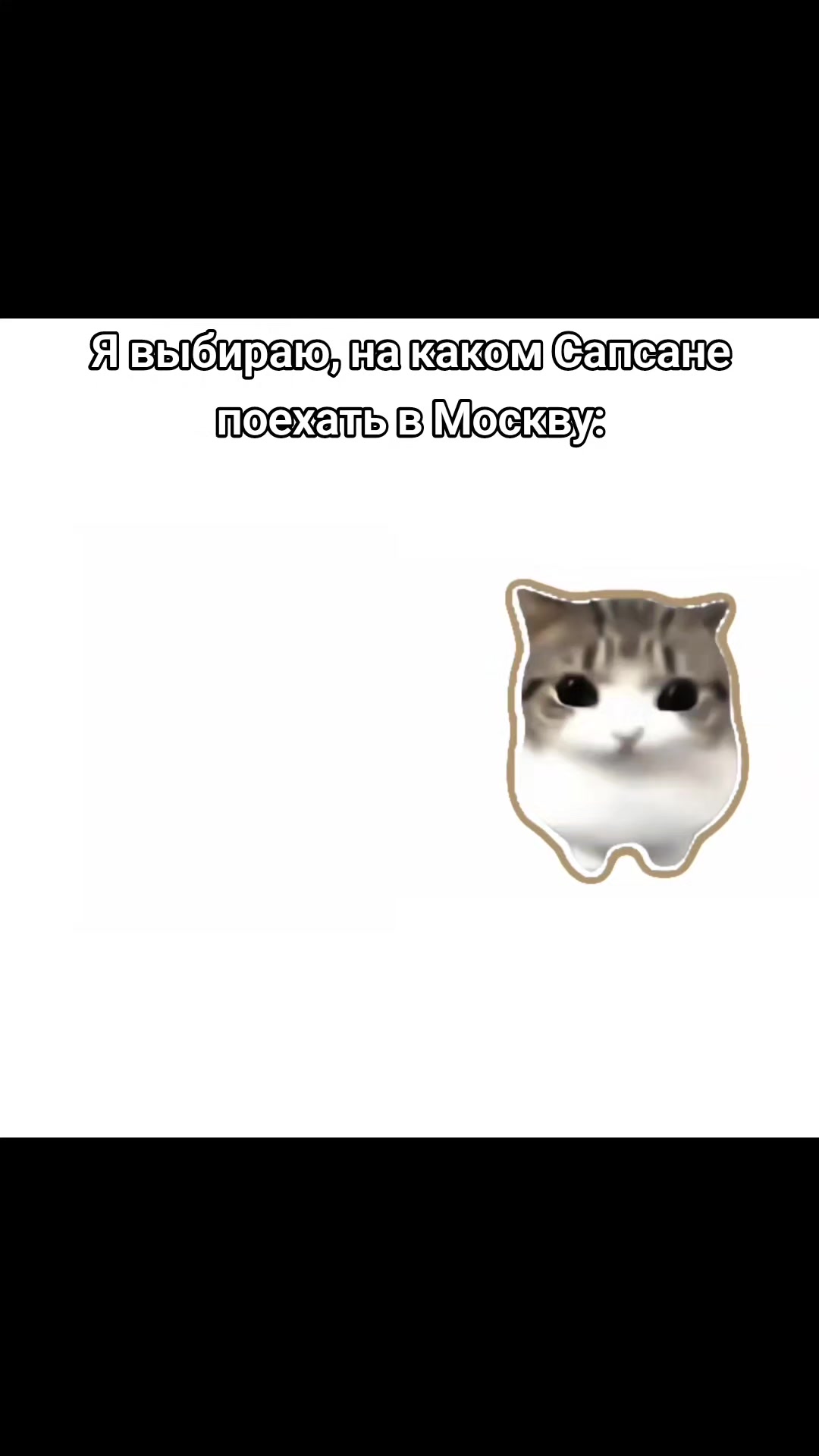 @🤍𝕊𝕒𝕡𝕤𝕒𝕟𝕠𝕧𝕒🤍