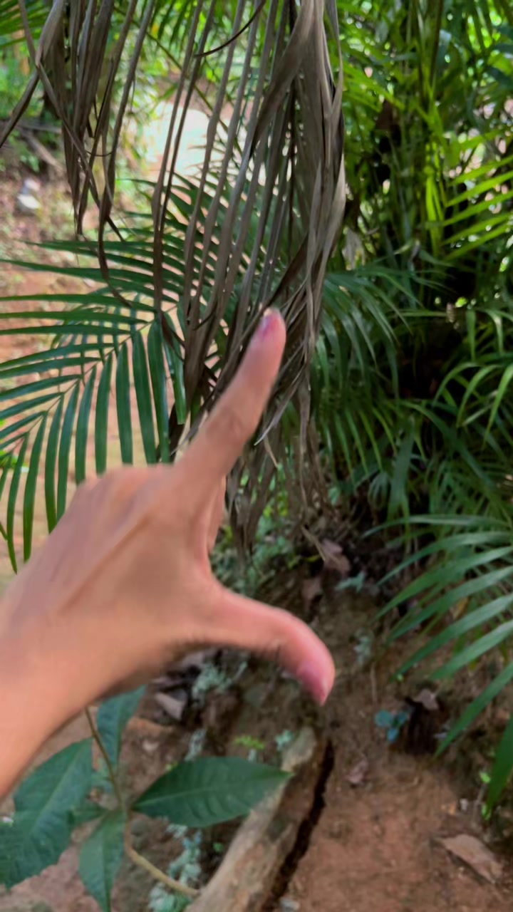 @Mada 🧿♥️