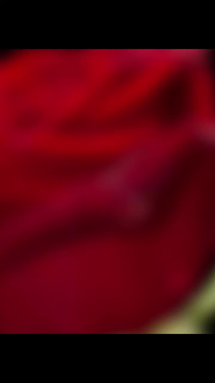 @dhakalbhujel789
