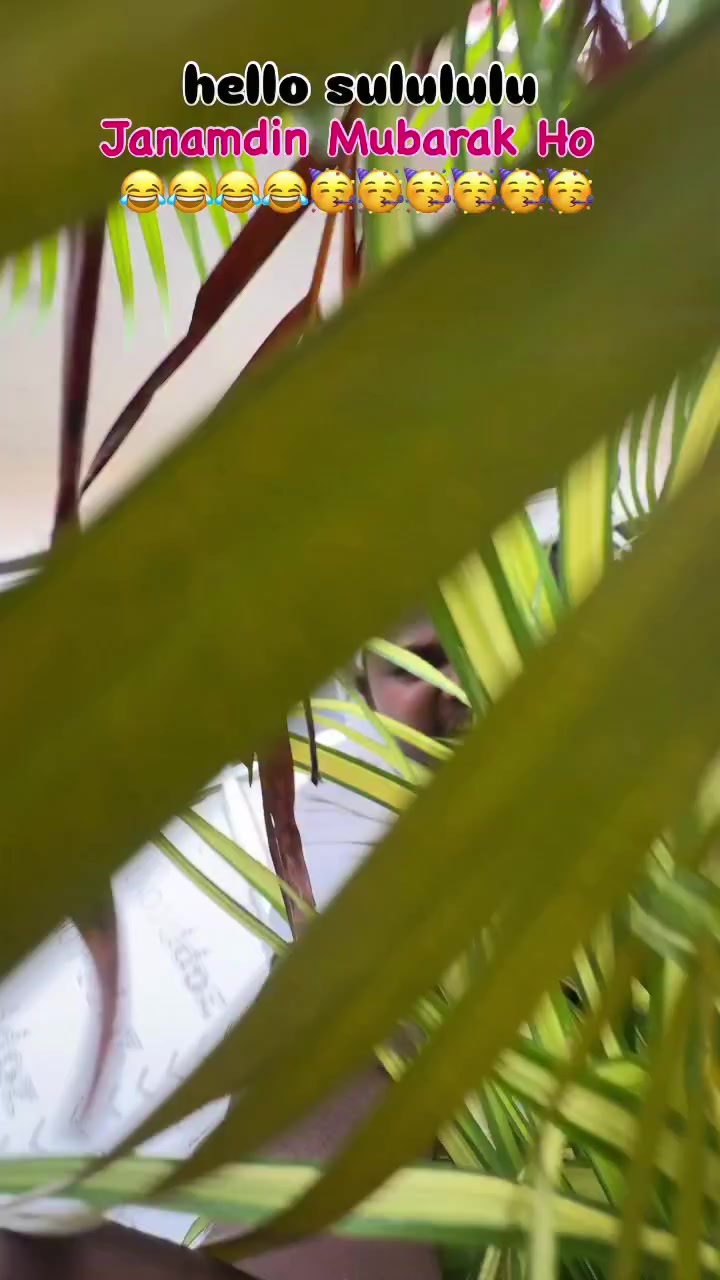 @laurancesohel