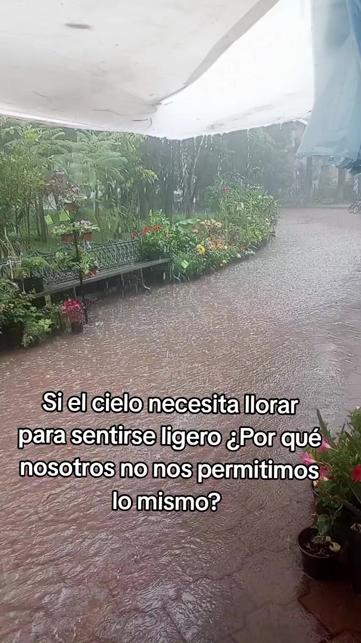 @🩷🌷Chatisss🩷🌷