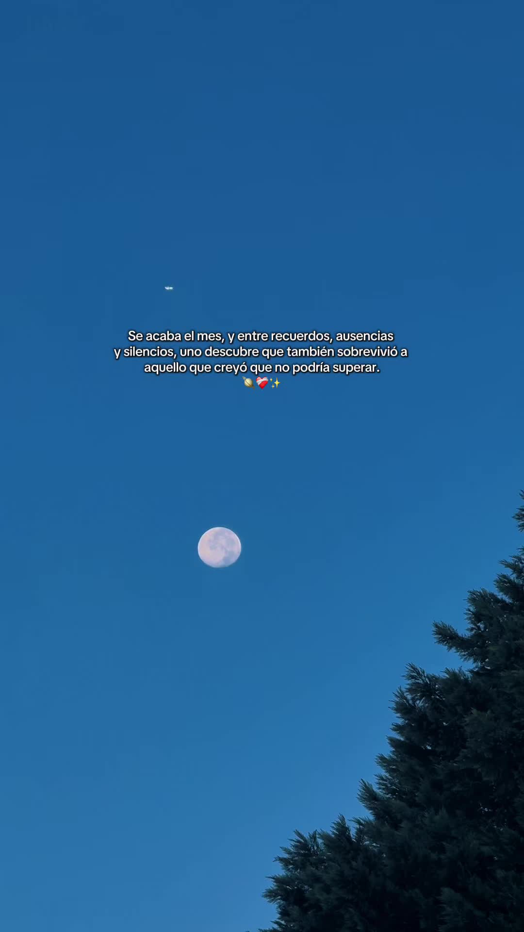 @↳。˚ 🖇️Ɗᵅṿ𝖎ⓓ♡┊🫀🇬🇹🎵