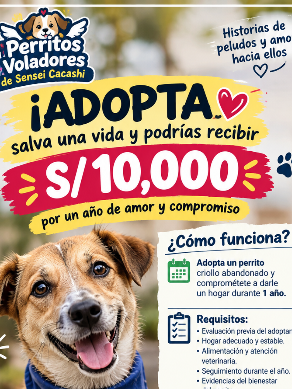@Perritos Voladores