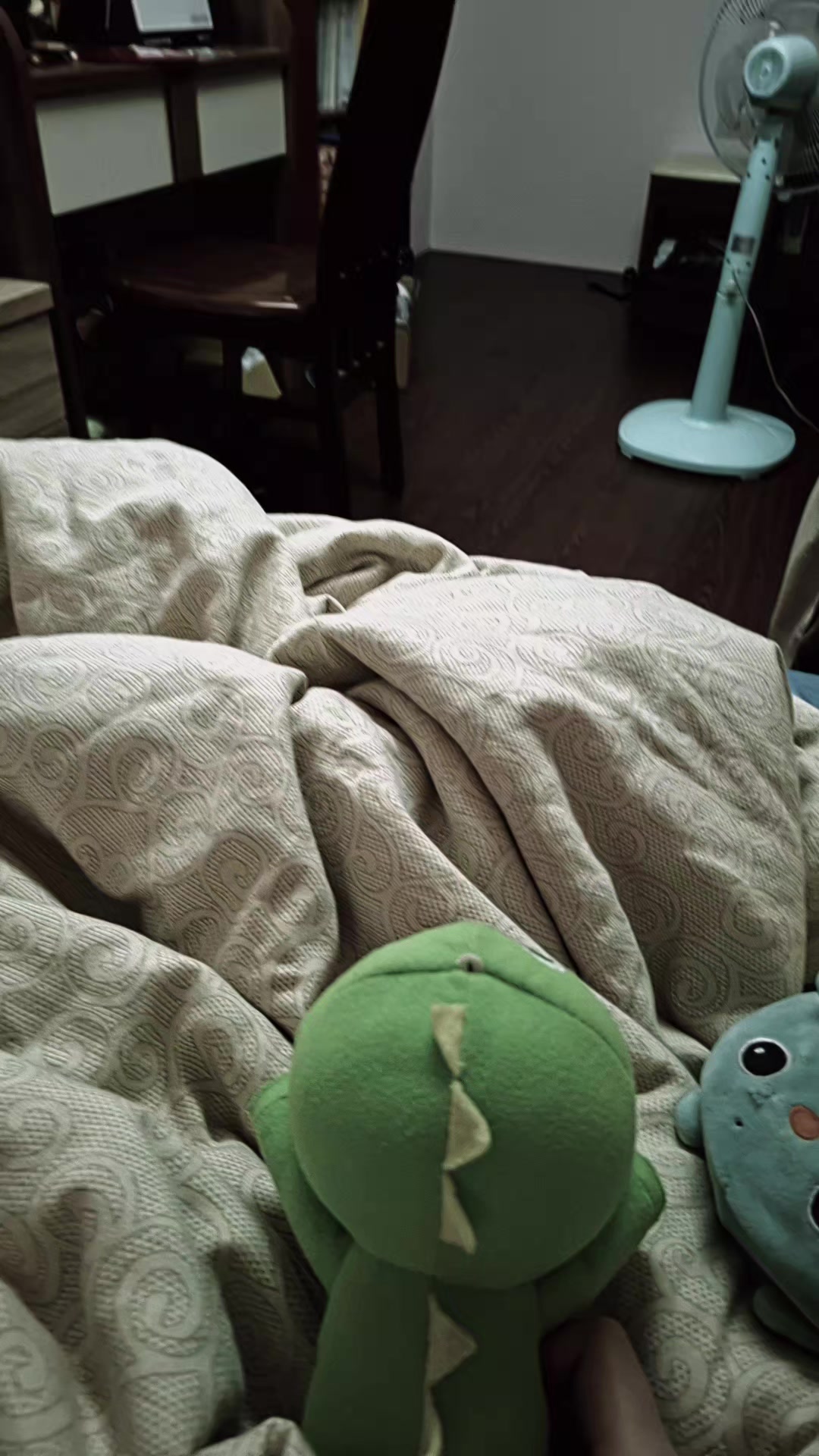 @My daughter's dog Bocchi✅️