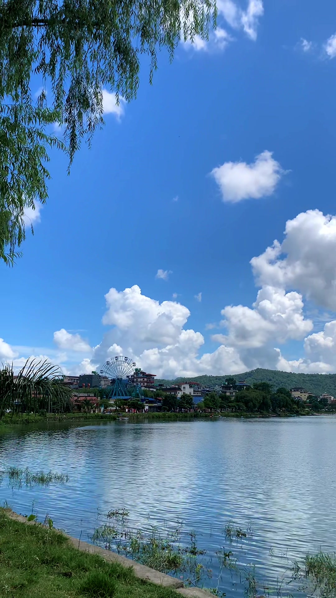 @སེང་གེSengay76