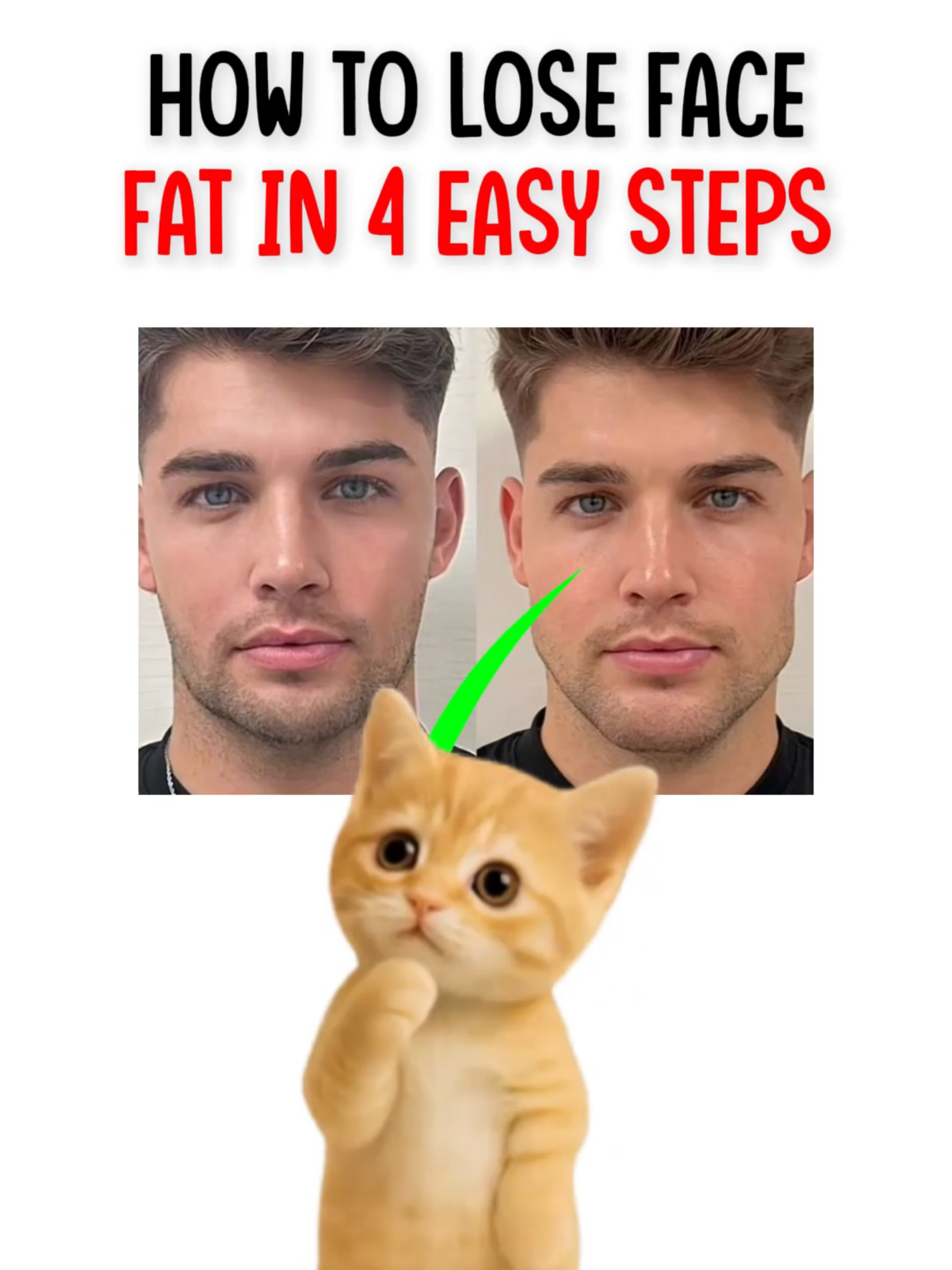@mrkittyn