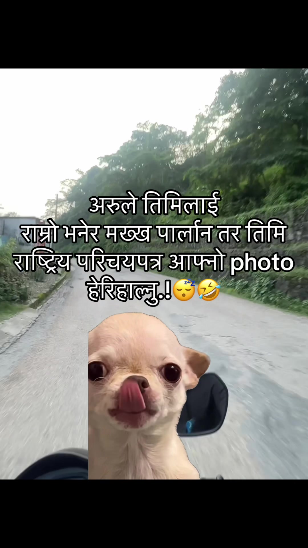 @अजय राज धामी  🇵🇹