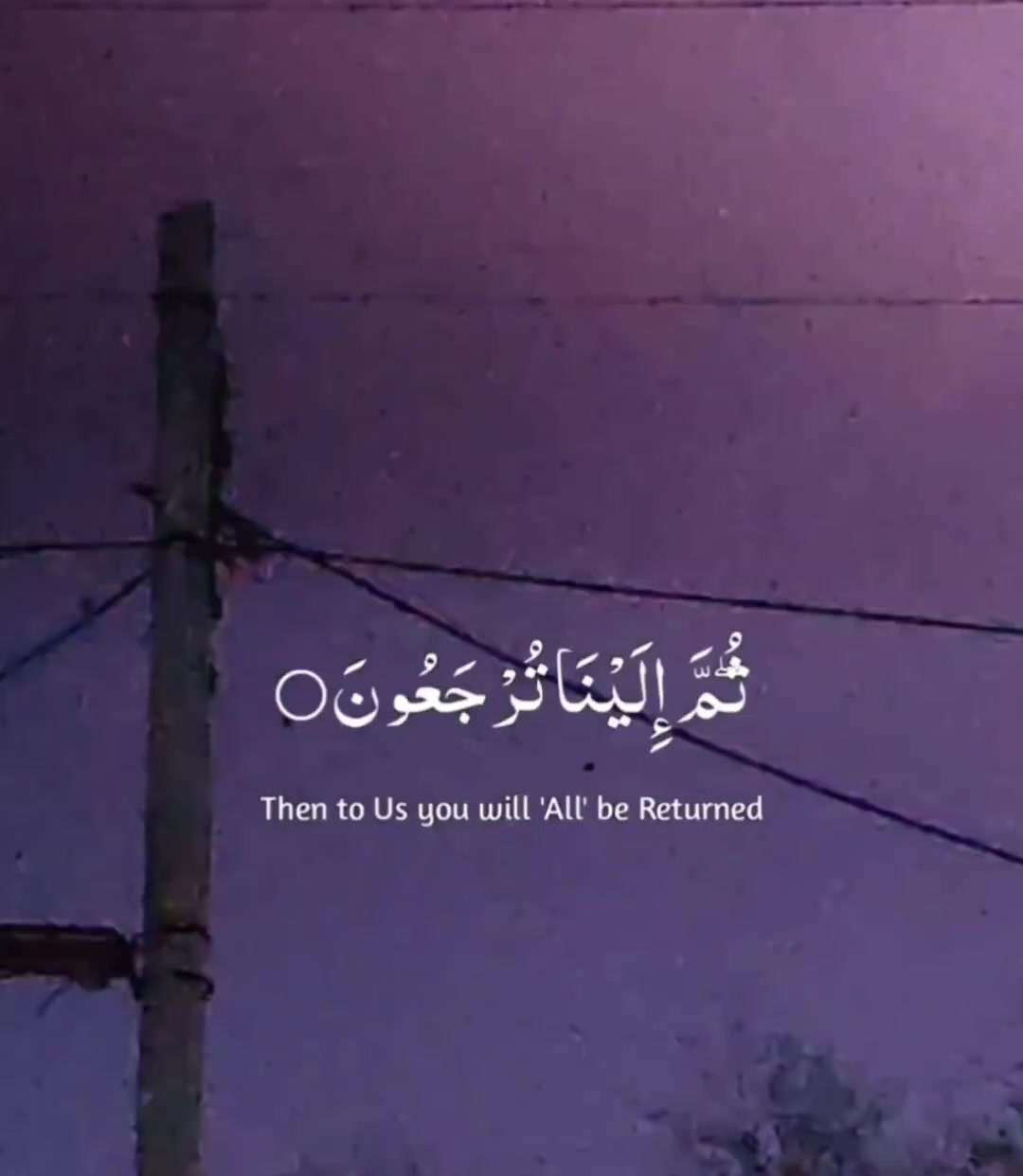 @ابـــــ🍁علــــُـي🦅