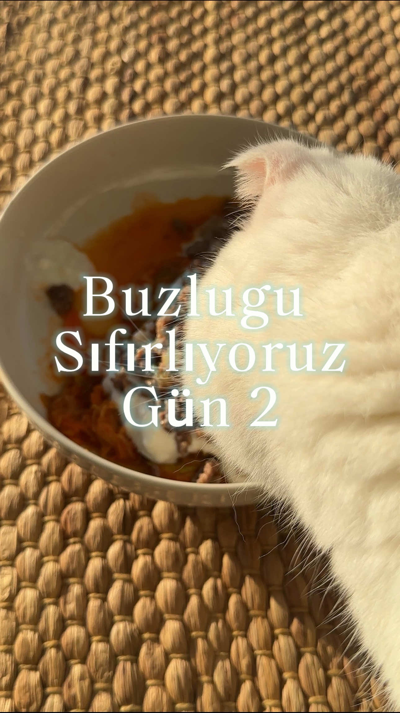 @Hande &Uuml;ng&ouml;rgil Molder