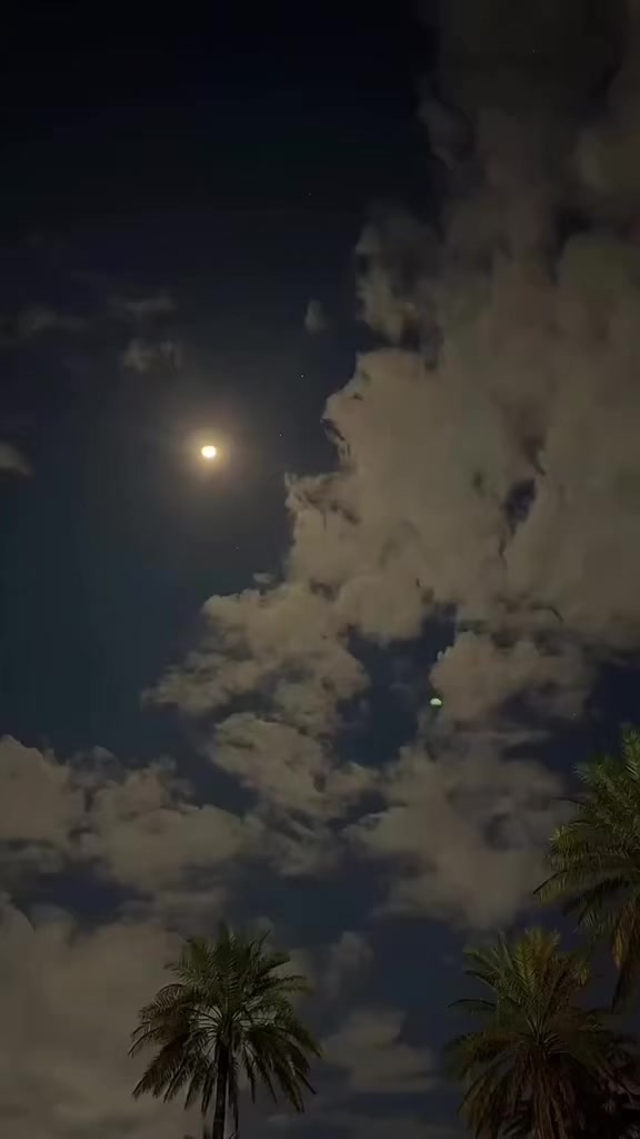 @تغطيات صقر_101