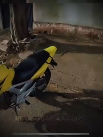 @Renatogarcia.clips1