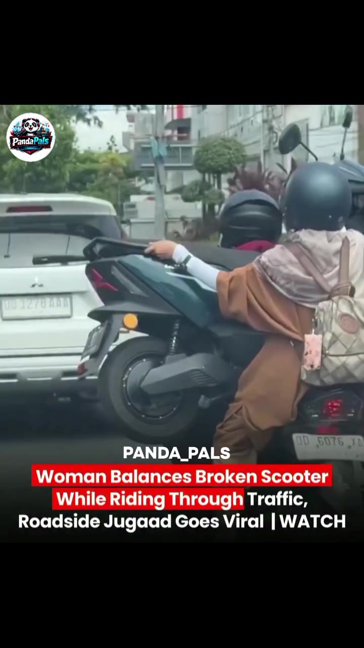 @PandaPals