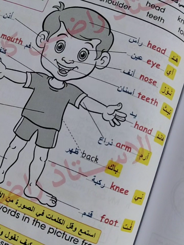 @تعلم الإنجليزية الصحيحة