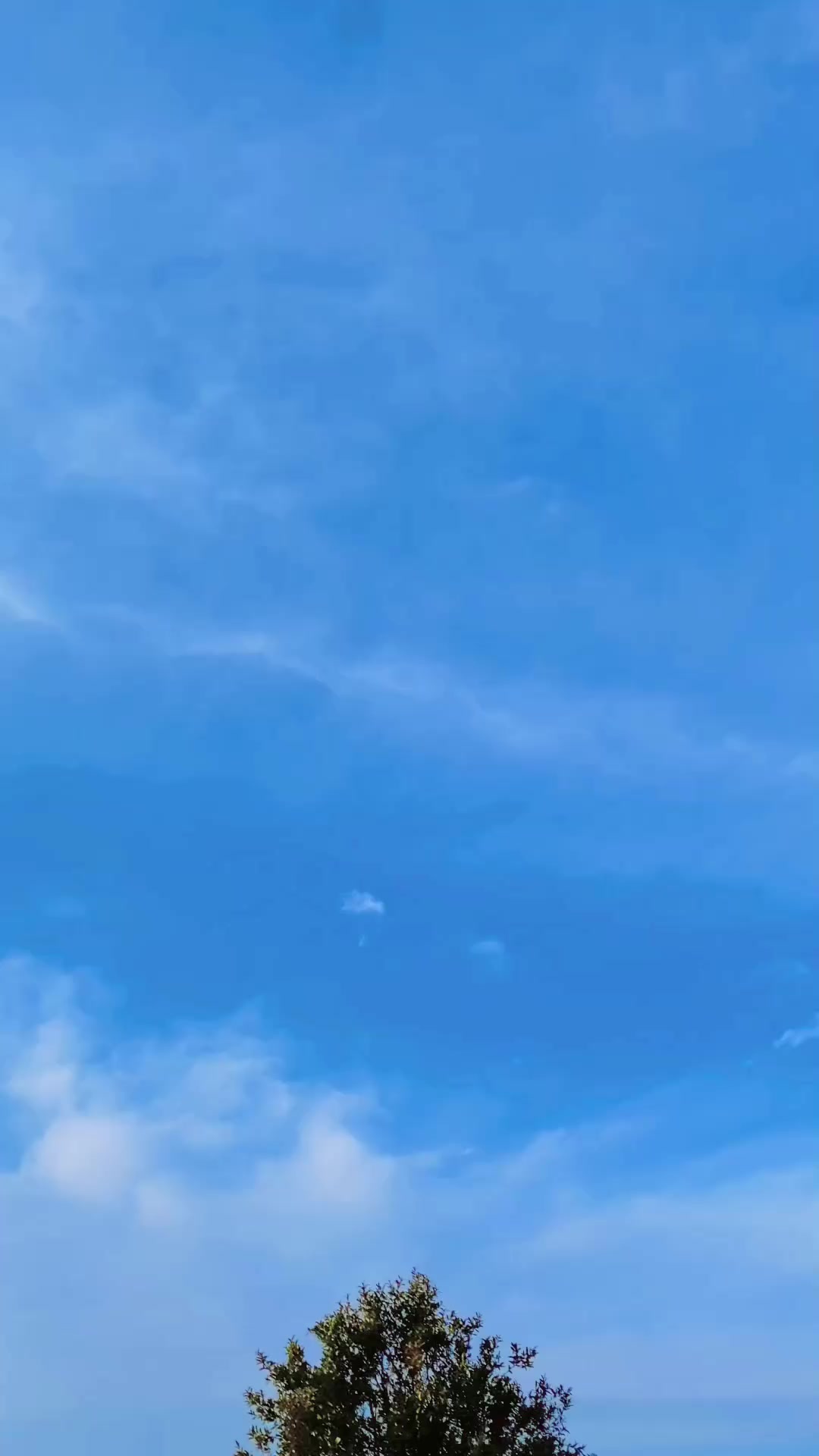 @𝗨𝗺𝗮𝗿 𝗚𝘂𝗹𝗮𝗯