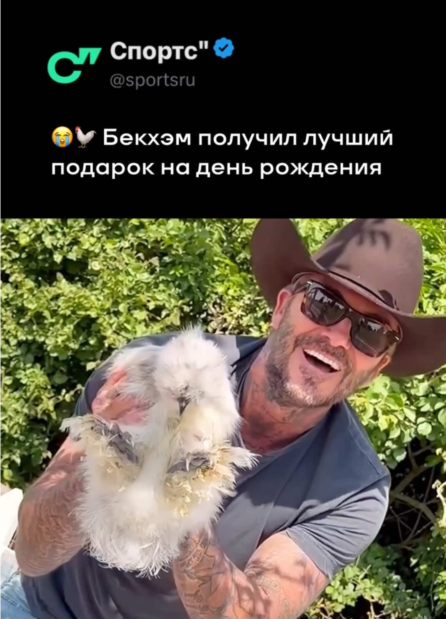 @Sports.ru