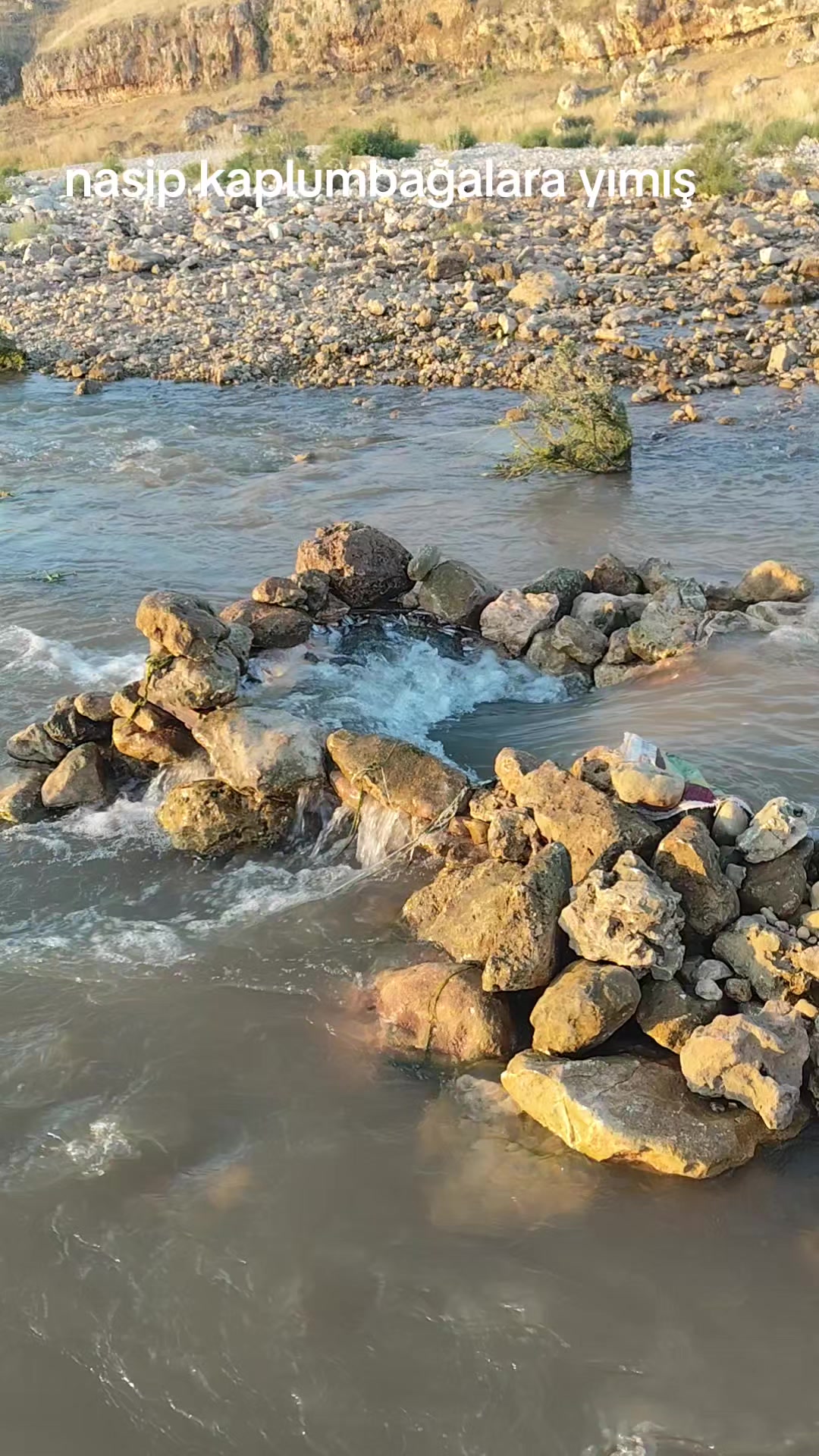 @aldırmaz⚔️63