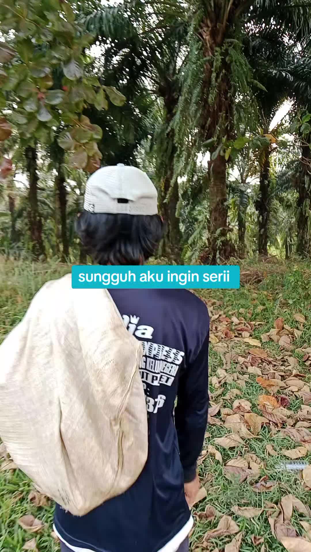 @Hilmanaria2