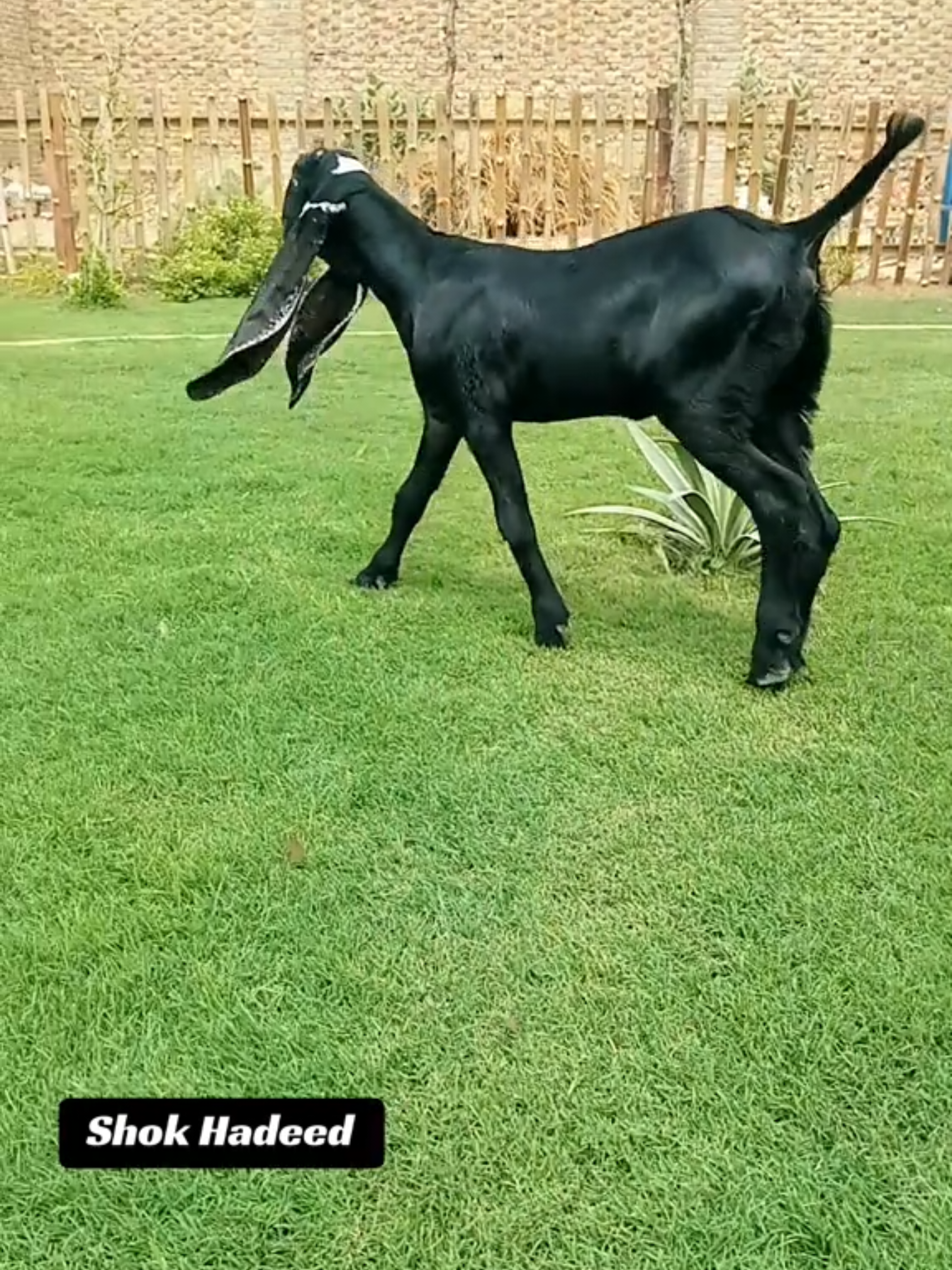 @𝕄.𝔾.𝔽