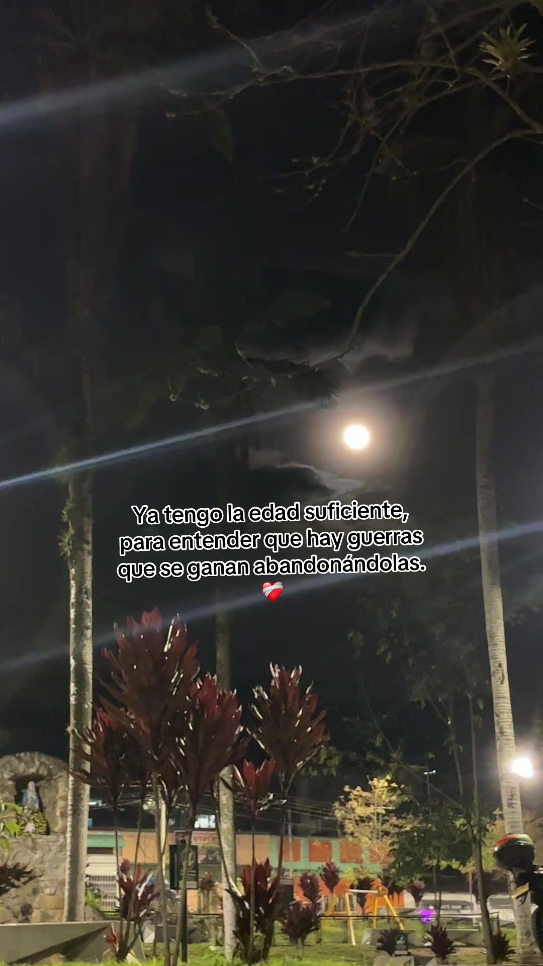 @solmaria🦋