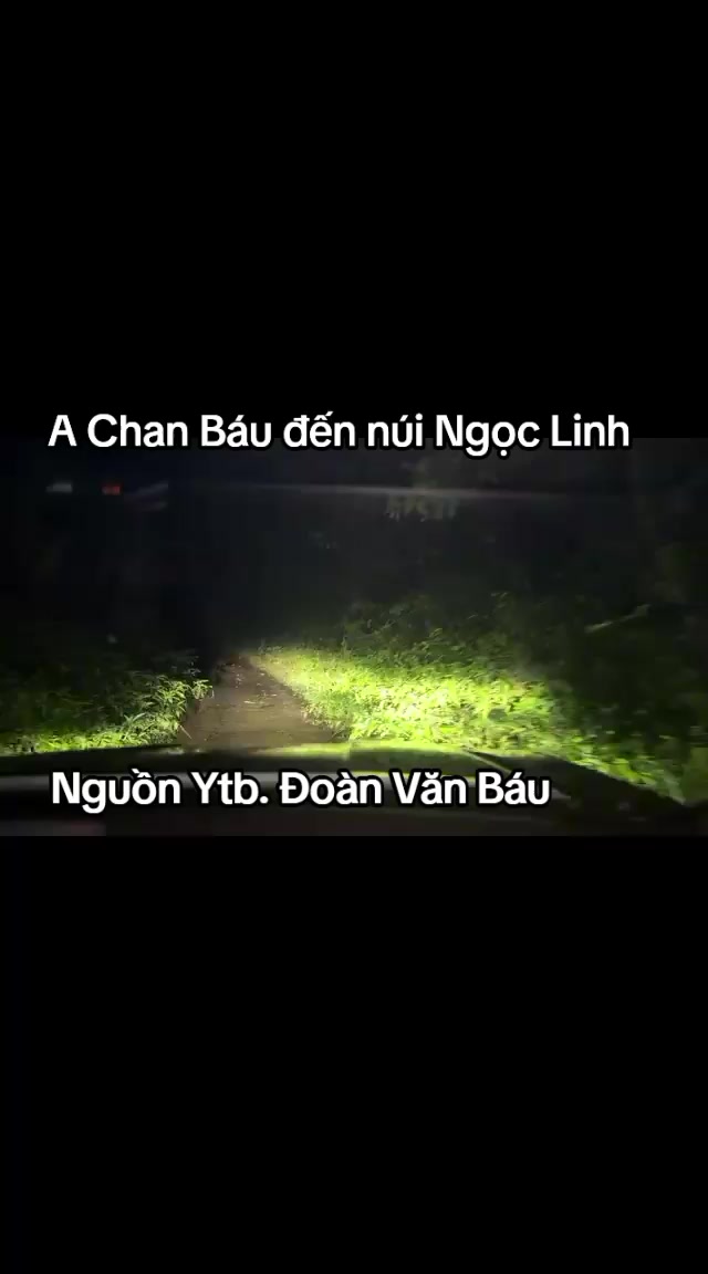 @Chanel Nguyễn
