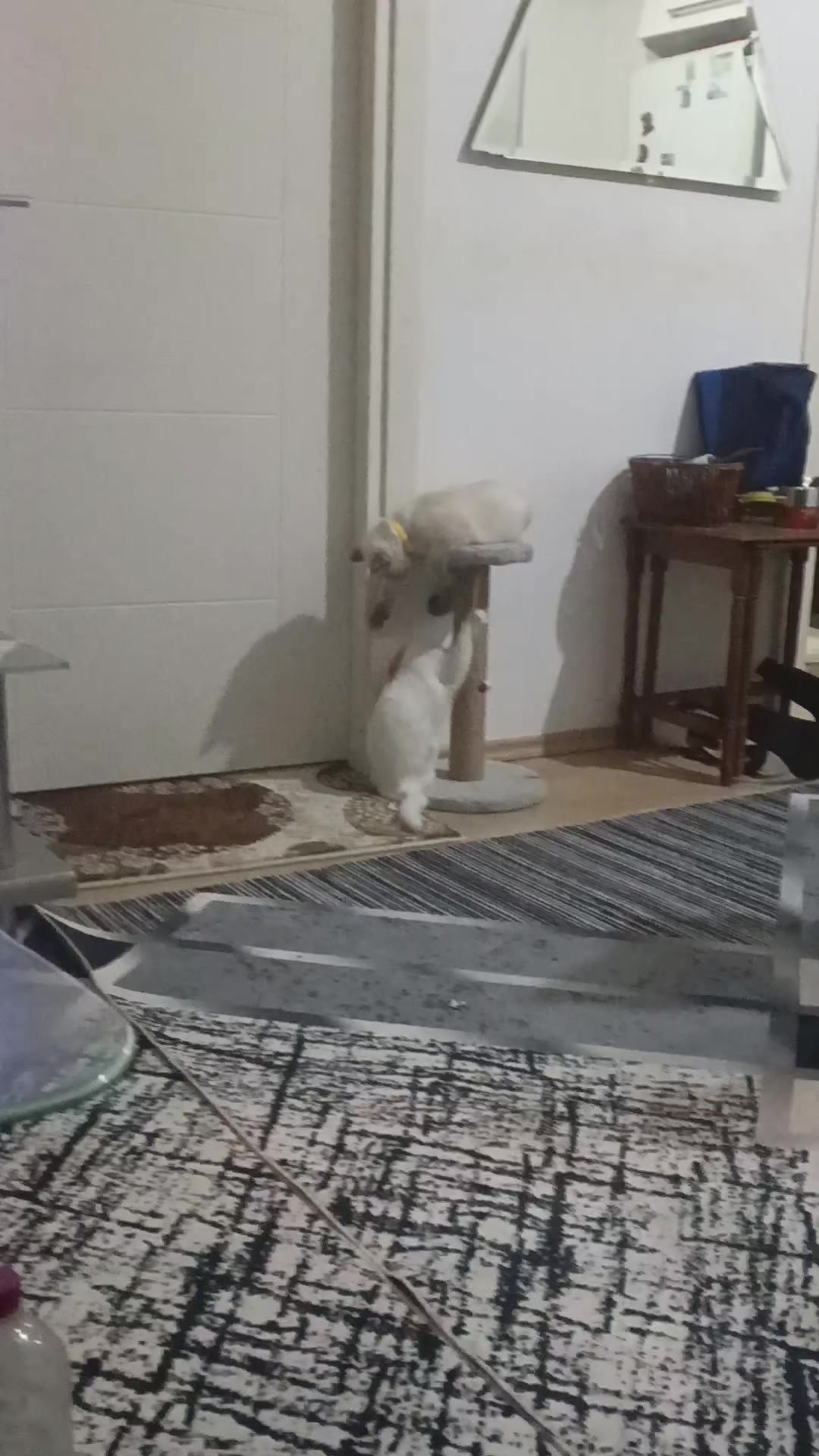 @Emrah &Ccedil;evik