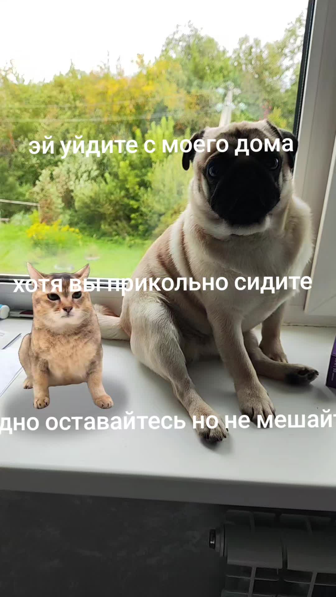 @ЧИПУНЕТСКИЙ