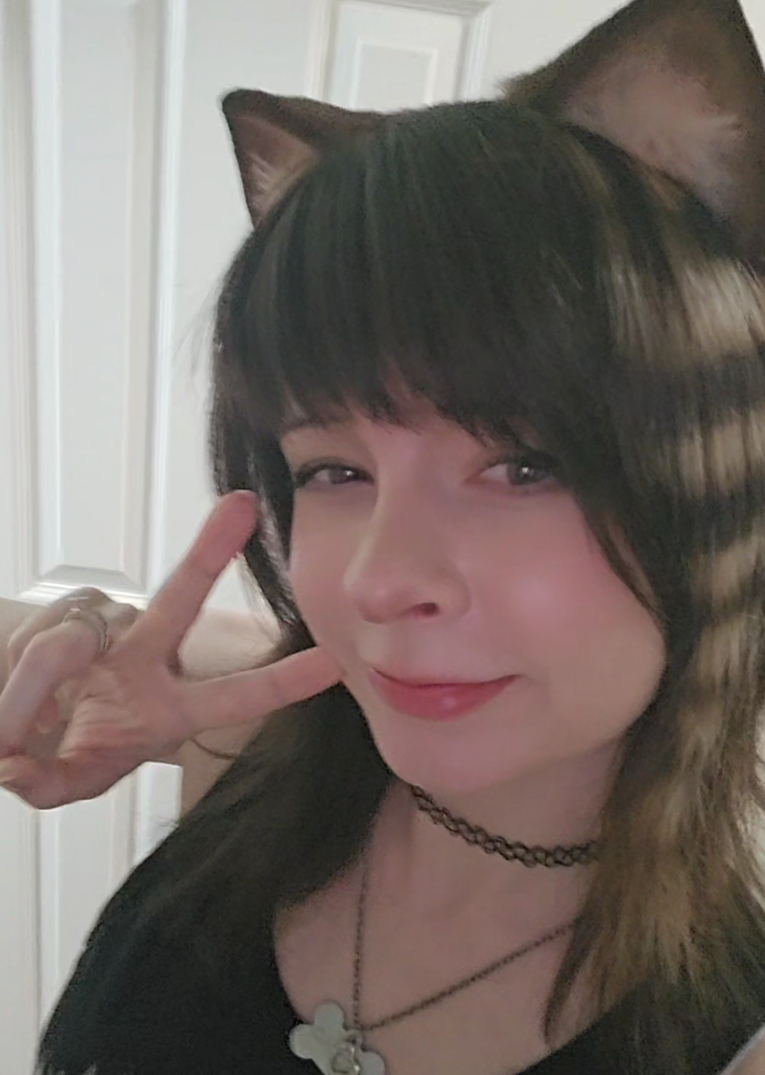 @nyanko🐾