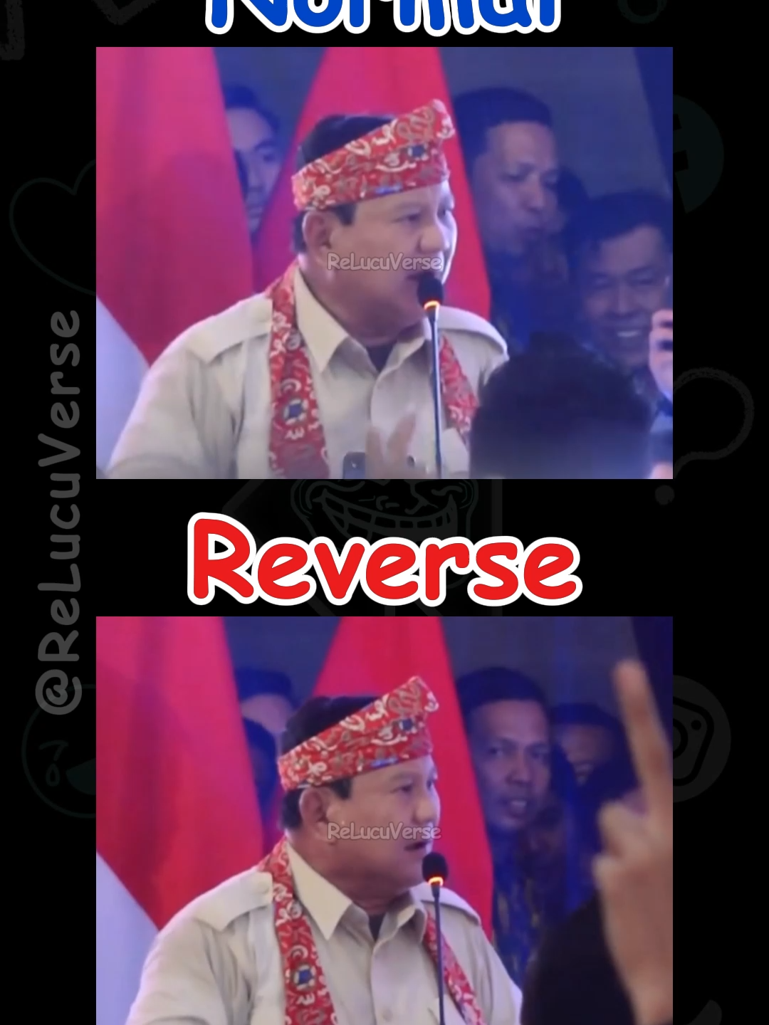 @ReLucuVerse