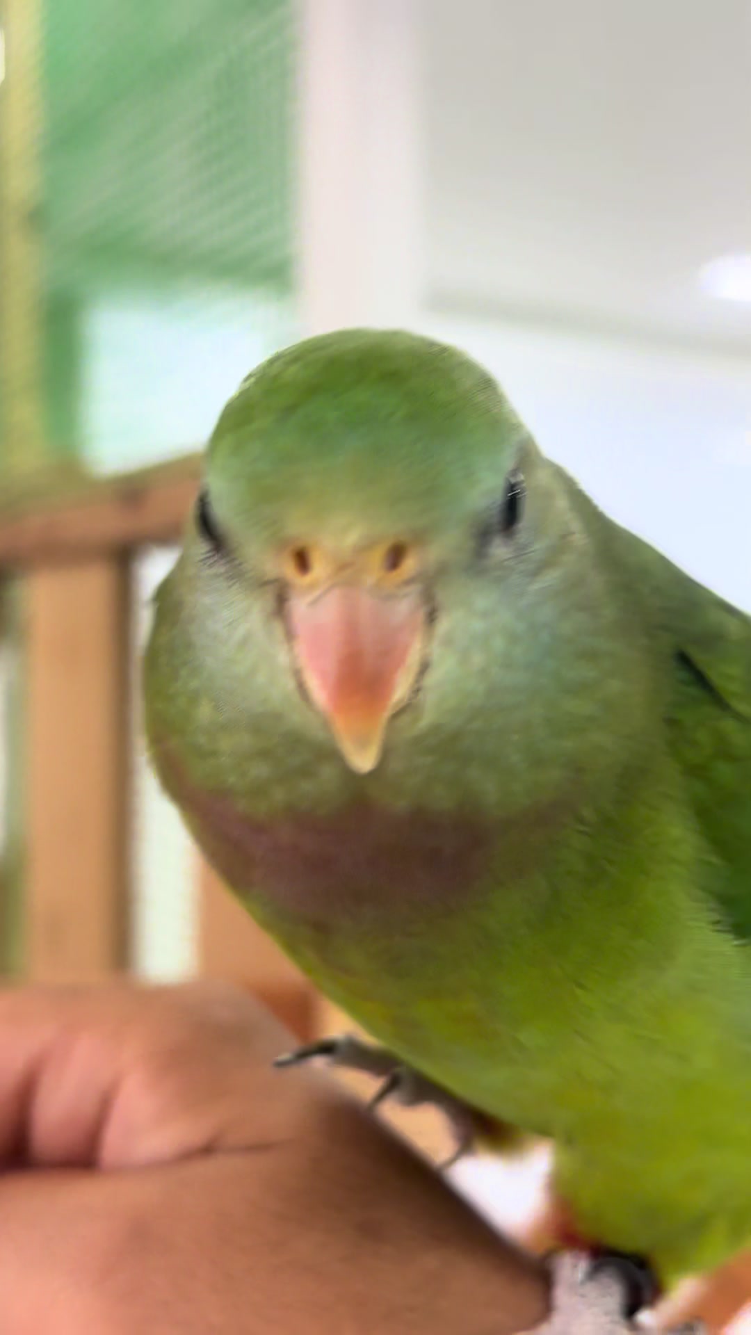 @๐โ๏ธใใชใผ๏ผงโ๏ธ๐