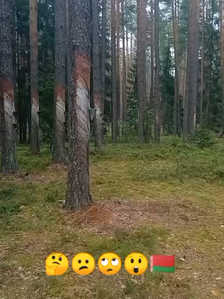 @Игорь