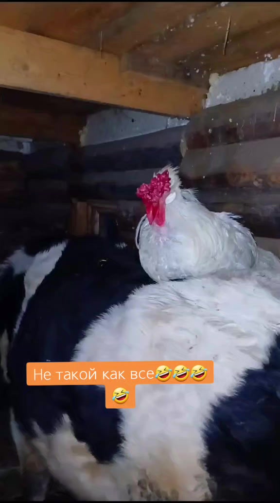 @NA_VA_SELY