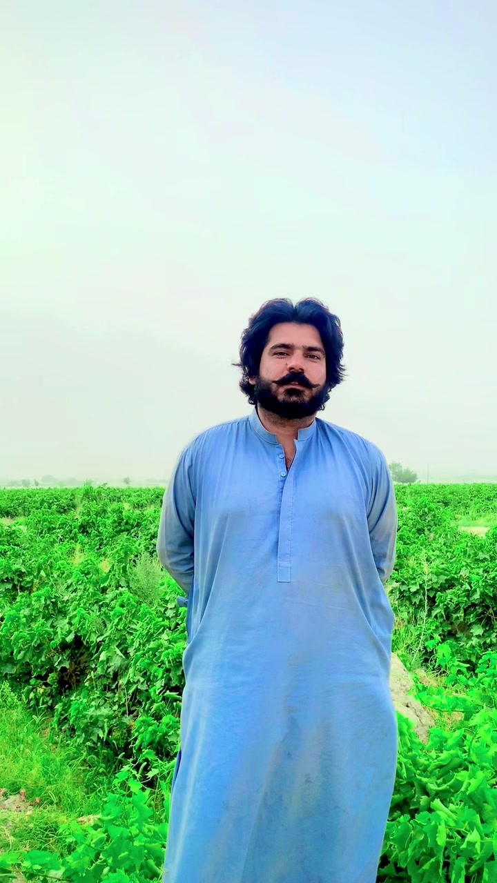 @Sarfaraz Raisani