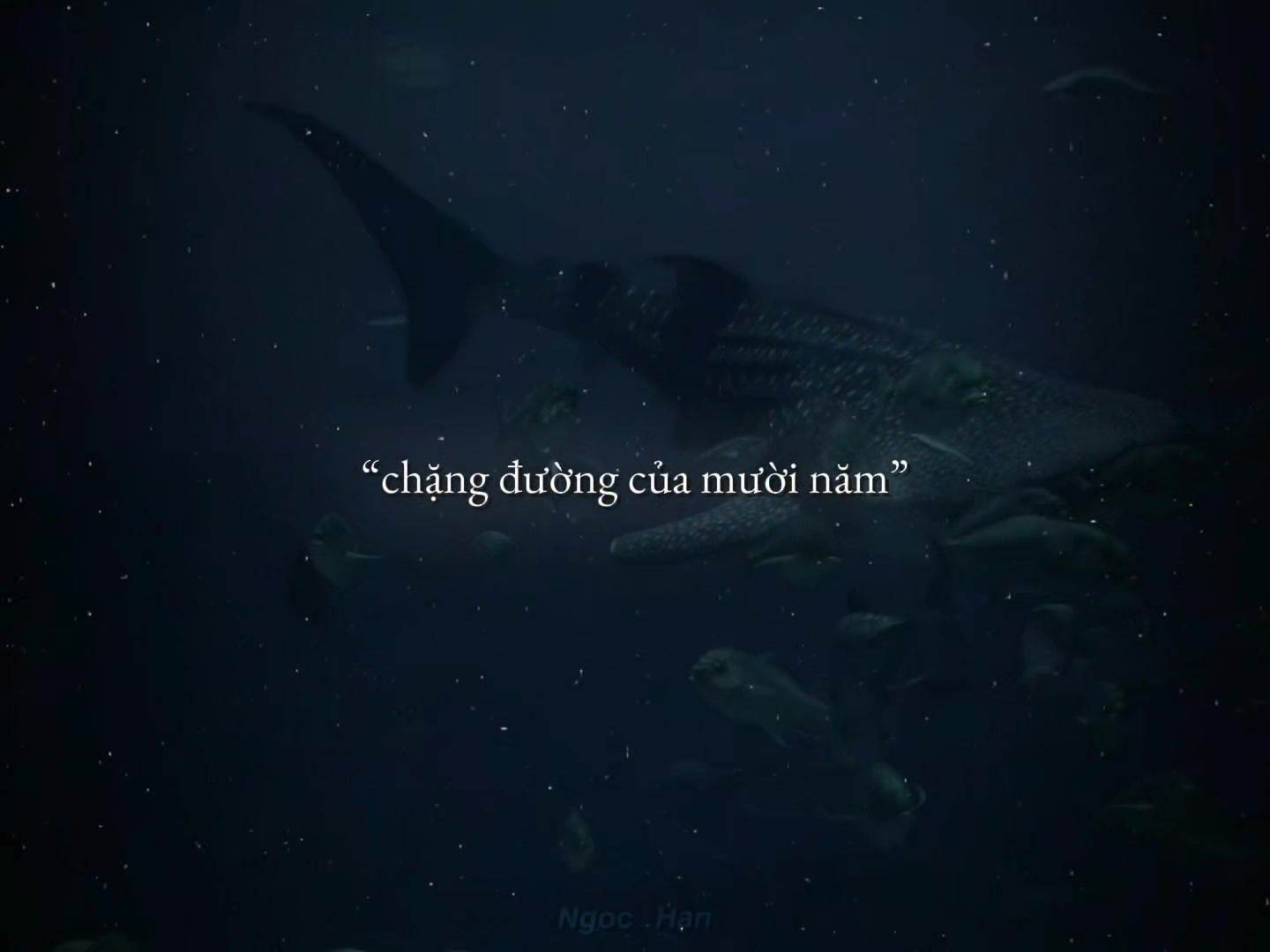 @𝙉𝙜𝙤𝙘 𝙃𝙖𝙣
