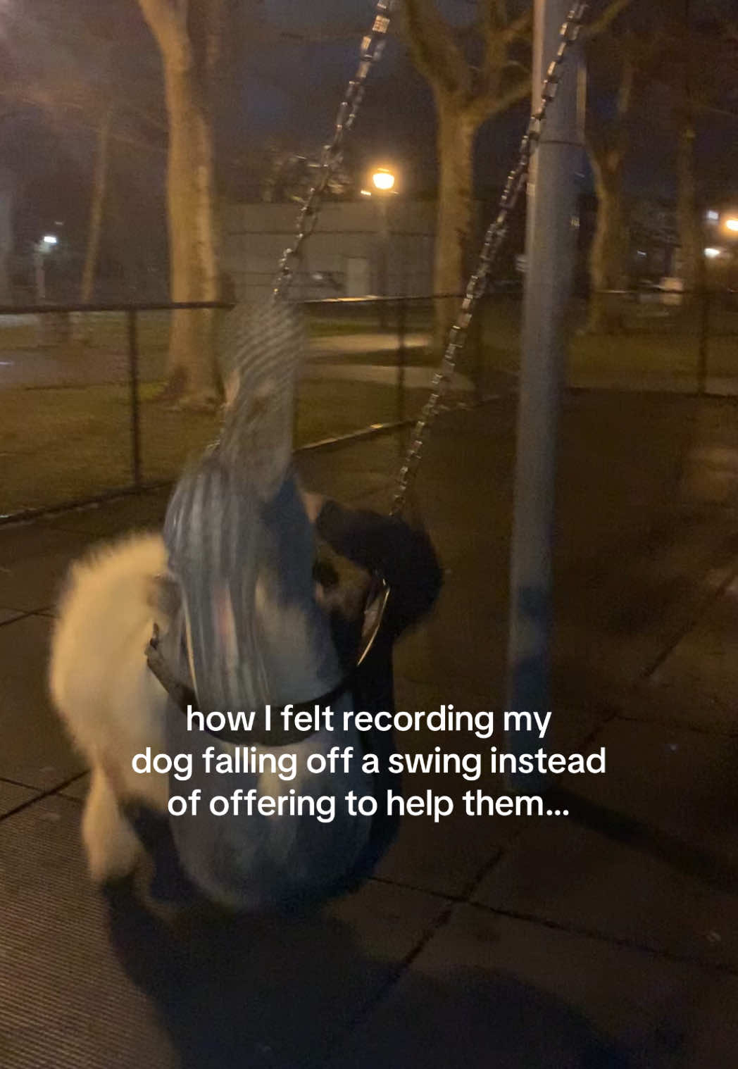 @Biff the Samoyed