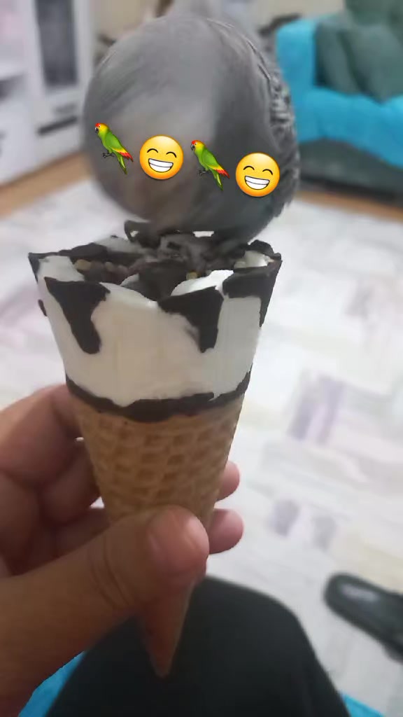 @Serpil Karaman