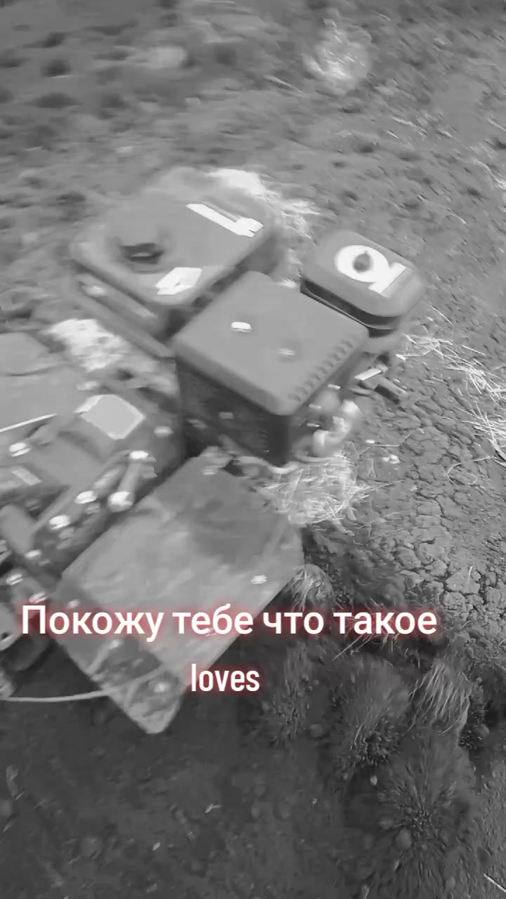 @Князь Арсений