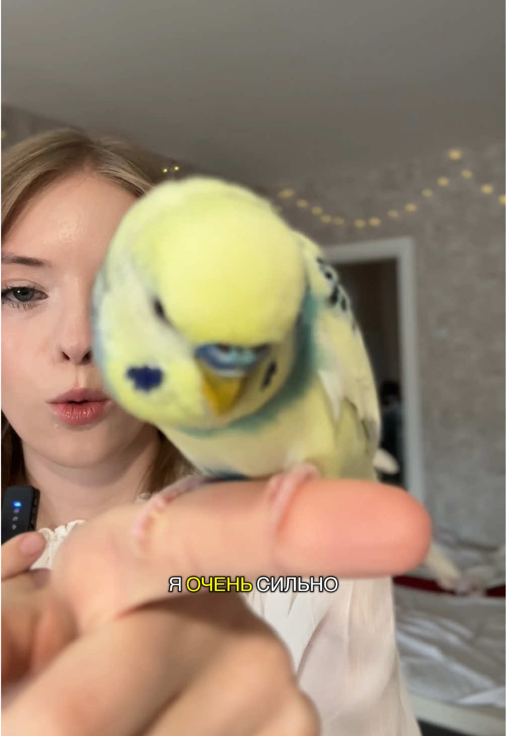 @Дия