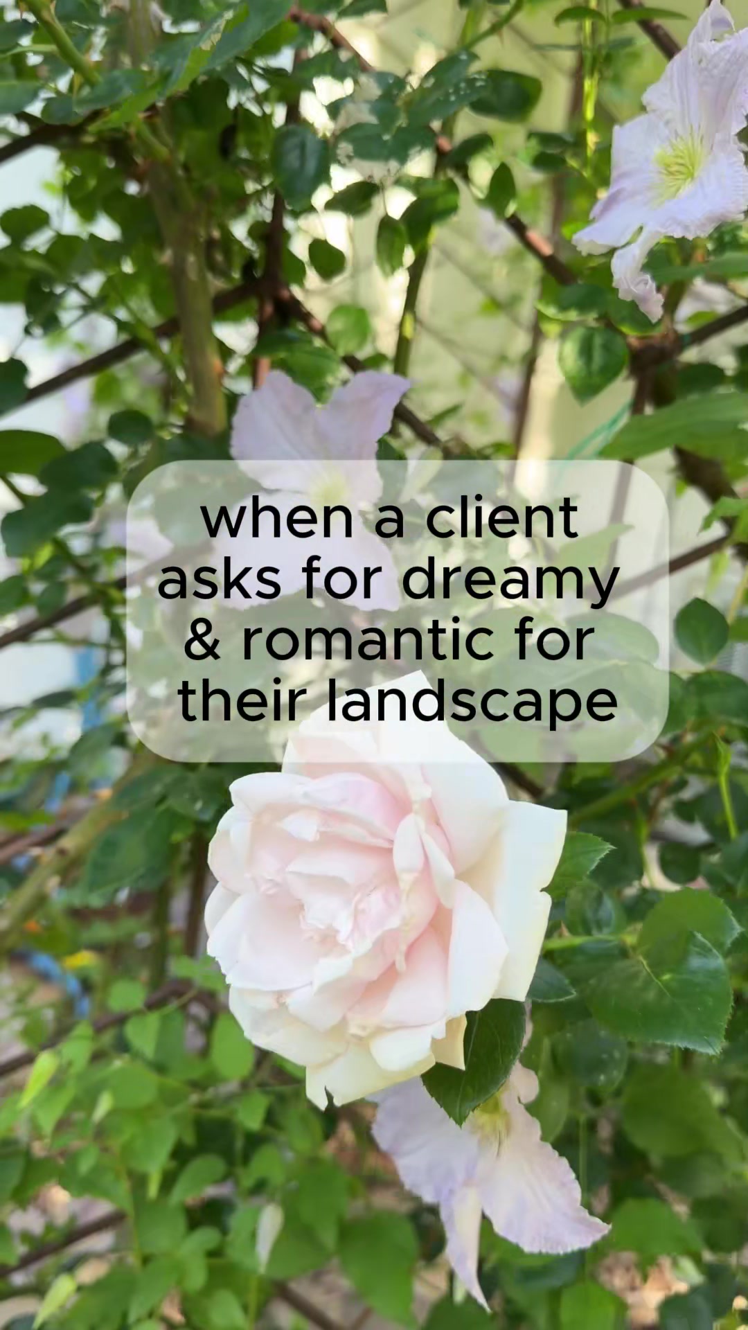 @Landscape_by_Lauren 🌱