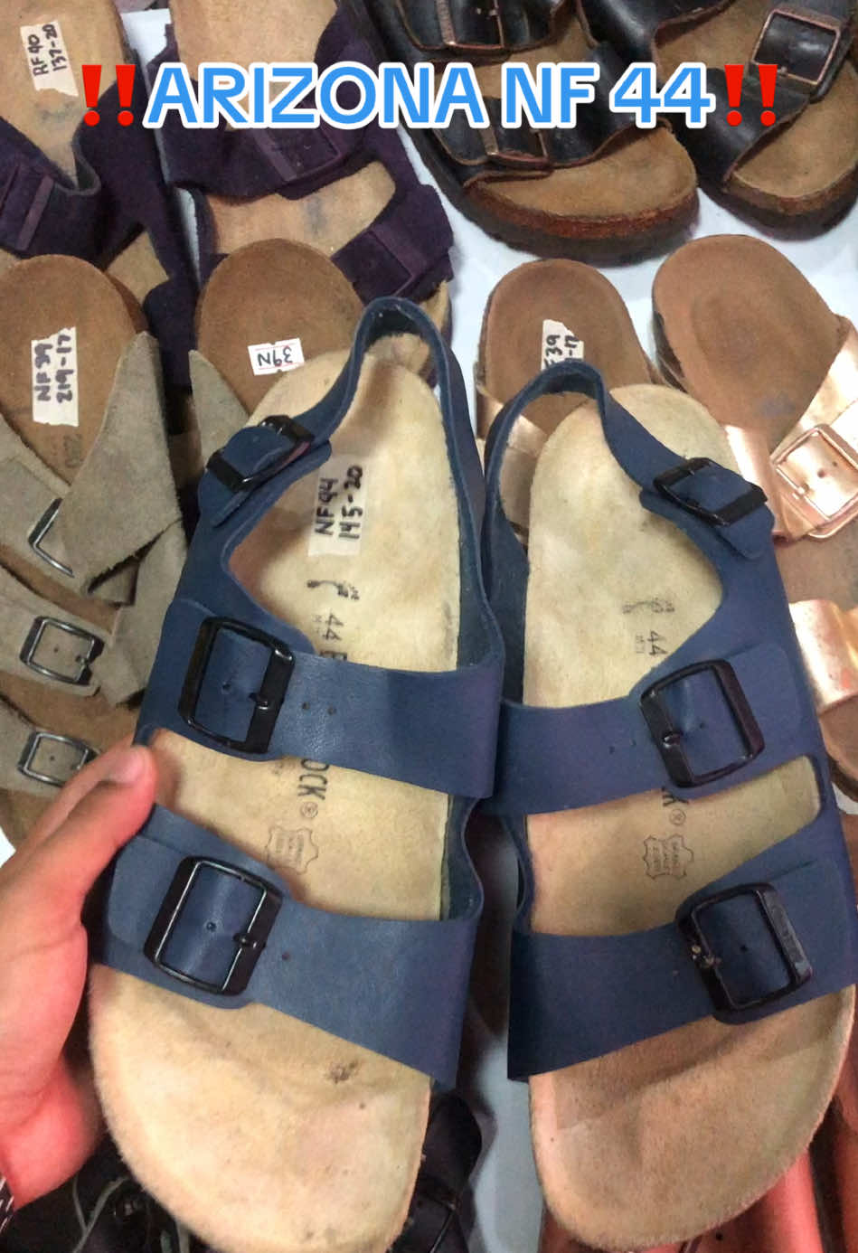 @DAILY BIRKS