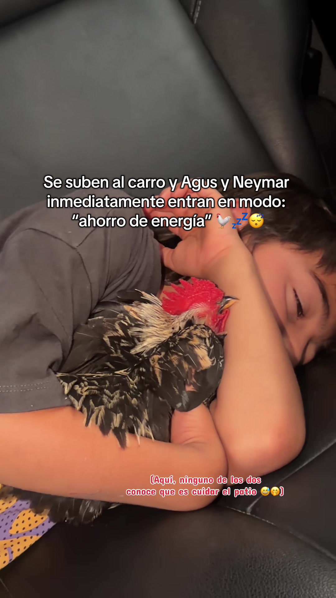 @Laura Daniela