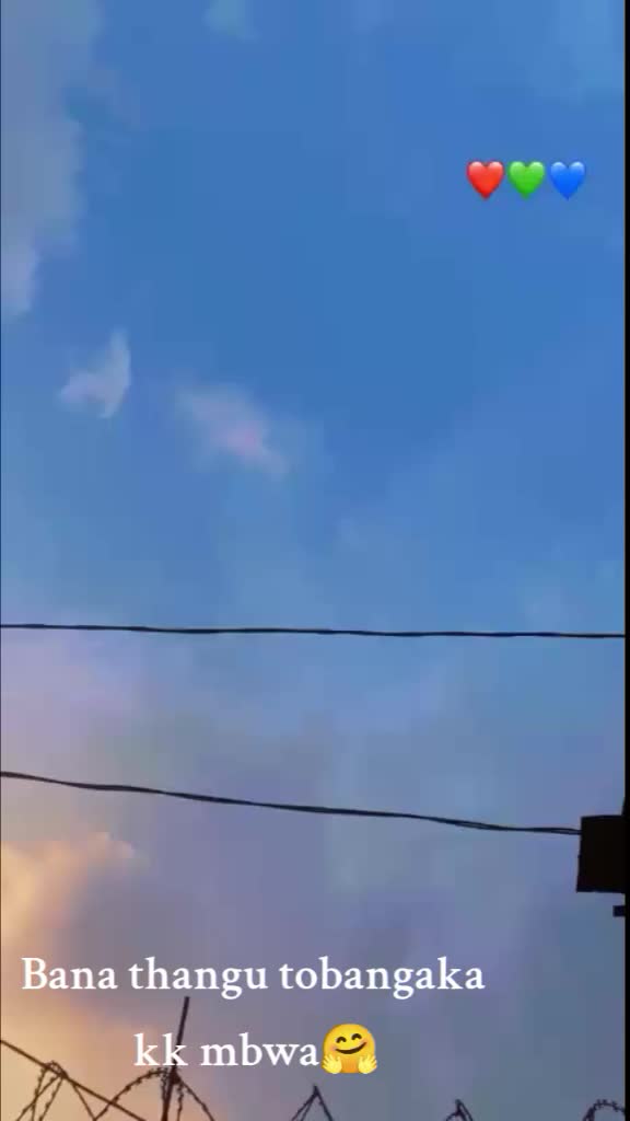 @user10431795454
